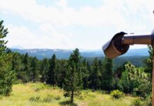 У Волинських лісах встановили систему відеоспостереження