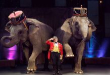 У цирку більше не буде шоу з тваринами