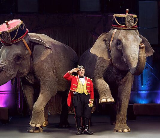 У цирку більше не буде шоу з тваринами