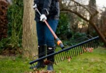 Луцьк активно прибиратимуть від сміття