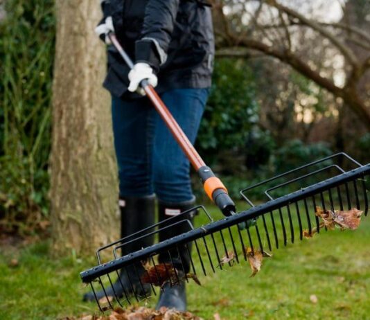 Луцьк активно прибиратимуть від сміття