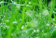 У Луцьку створили перший екологічний фонд