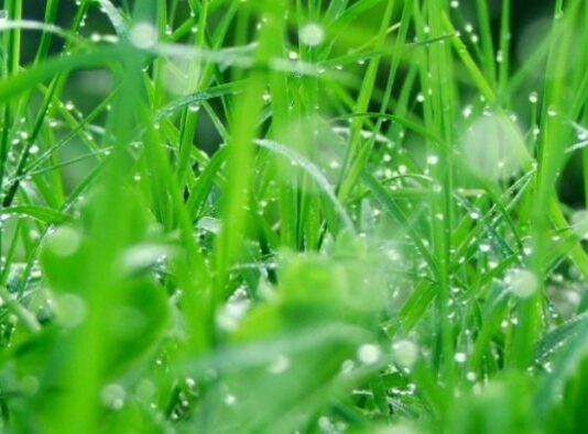 У Луцьку створили перший екологічний фонд