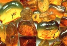 Фінансові махінації «бурштинової» фірми