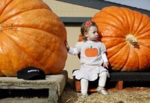 Волинянин закликає українців взяти участь у конкурсі з вирощування найбільшого гарбуза