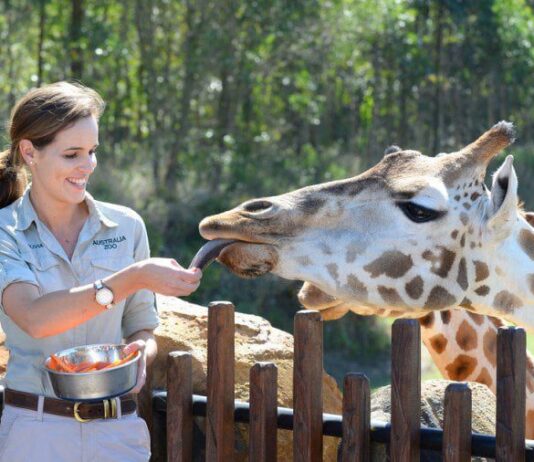 Супрун розповіла, чому зоопарки можуть бути небезпечними для здоров’я людини