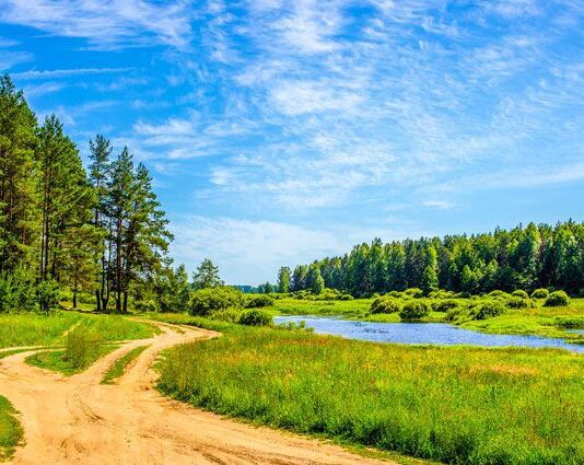 Яким буде літо в Україні: детально про кожен місяць