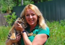 Тигреняті Тріші з луцького зоопарку виповнився 1 рік