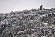 Сміттєвий колапс в одному з мікрорайонів Луцька