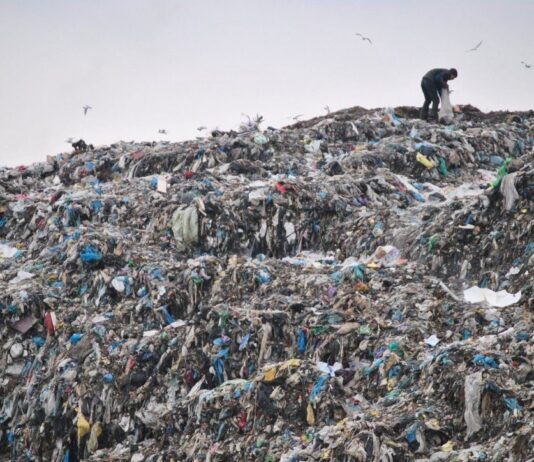 Сміттєвий колапс в одному з мікрорайонів Луцька