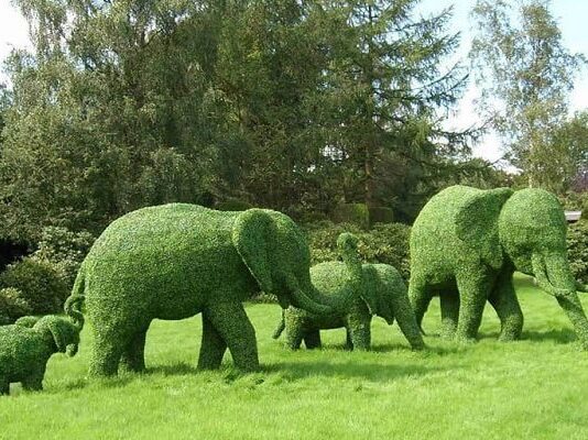 На озеленение Луцка пойдет 9 миллионов гривен