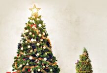 Штучна ялинка – захист природи чи шкода собі?