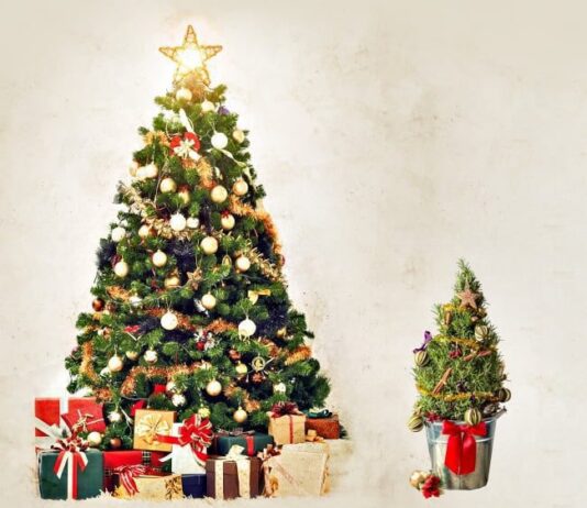 Искусственная елка — защита природы или вред себе?