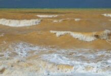 З’ясували нові причини забруднення Чорного моря в окупованому Криму