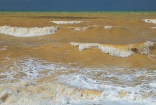 З’ясували нові причини забруднення Чорного моря в окупованому Криму