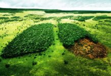 15 способів жити більш екологічно