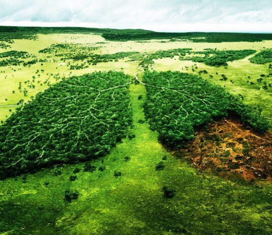 15 способів жити більш екологічно