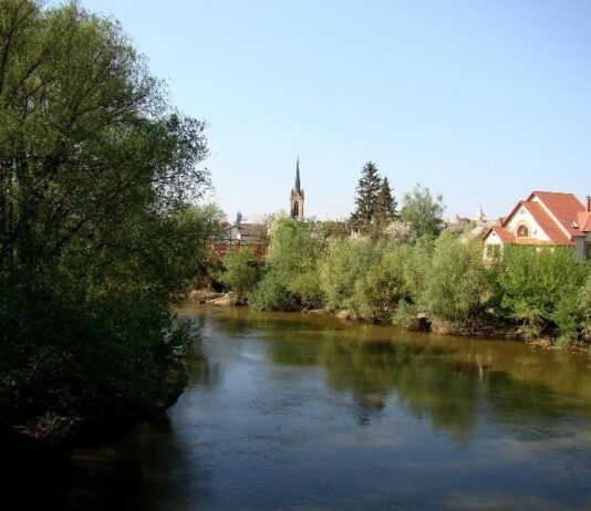 Придатність води для купання: які водойми у Луцьку відповідають санітарним нормам