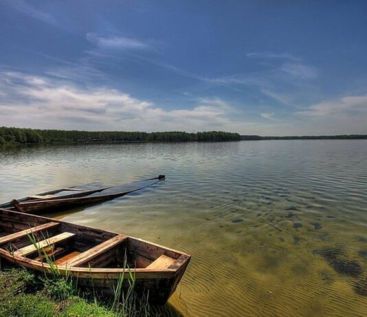 Рівень води у Світязі критично знизився: як виправлятимуть ситуацію