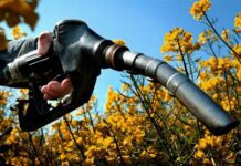 Луцький цукровий завод виробляє біоетанол