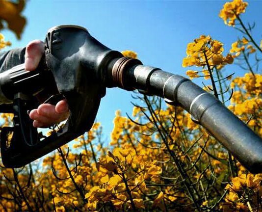 Луцький цукровий завод виробляє біоетанол