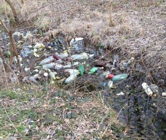 Неравнодушные волыняне убирают замусоренные территории во время утренних пробежек