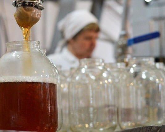 Березовий сік з Волині користується попитом в Америці та Ізраїлі