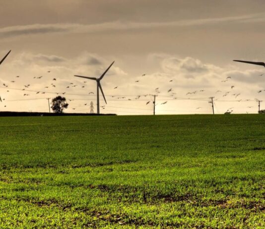 ТОП-10 компаній, які турбуються про екологію України