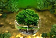 15 способів жити більш екологічно (продовження)