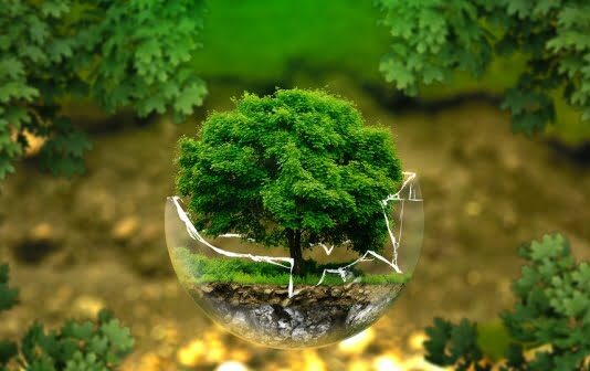 15 способів жити більш екологічно (продовження)