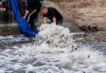 Волинські водойми поповнилися коропами і карасями