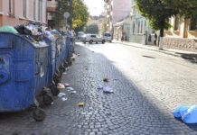 У Луцьку пропонують вживати суворішого покарання для тих, хто засмічує вулиці