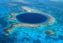 У найглибшій западині світу знайшли пластик: 11 кілометрів глибини