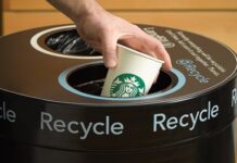 Блокноти та щоденники із стаканчиків: луцькі кав’ярні збирають паперові горнятка на переробку