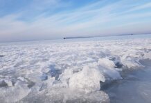 Порятунок для Світязя: звідки можна наповнити озеро