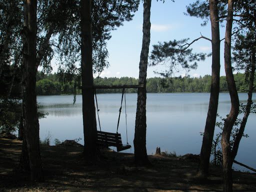 засвинське