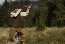 На Волині відкрили сезон полювання на хутряних звірів. Правила