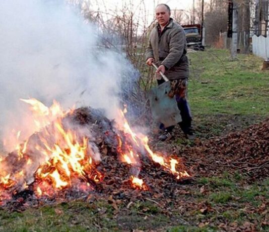 Спалюванню – ні: як лучанка переробляє опале листя