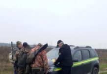 У районі на Волині за місяць застрелили три лосі