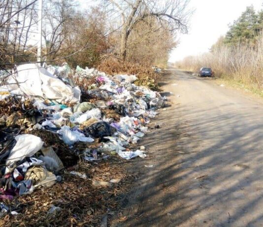 Завдяки “зеленим” пакетам Луцьку вже не загрожує забруднення пластиком