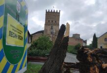 “Лесин ясен” більше не пам’ятка природи