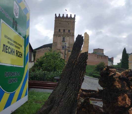 “Лесин ясен” більше не пам’ятка природи