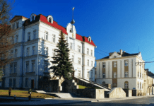 Екологічний фонд Луцька: що це і як працює?