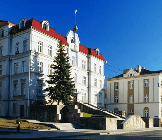 Екологічний фонд Луцька: що це і як працює?