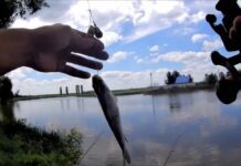 Де на Волині заборонили рибалити: перелік місць