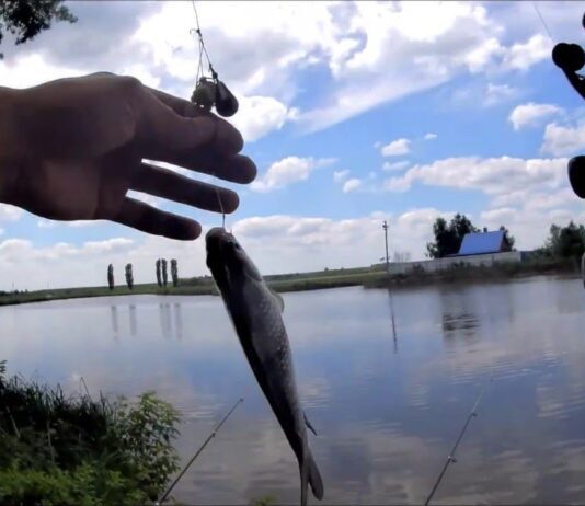 Де на Волині заборонили рибалити: перелік місць