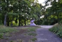 Занедбаний Луцький ботанічний сад: як місто втрачає пам’ятку природи?