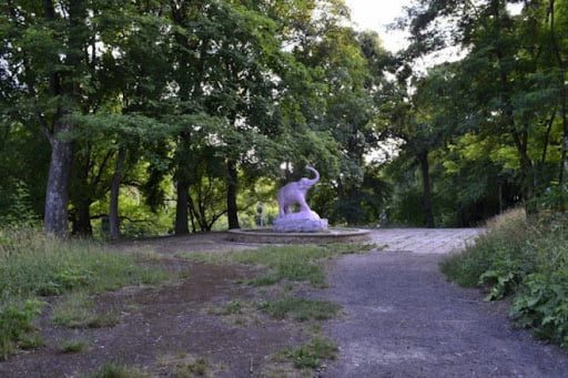 Занедбаний Луцький ботанічний сад: як місто втрачає пам’ятку природи?