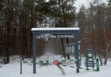 Волинські лісівники створили унікальну екологічну стежину