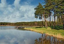 Волинь увійшла в ТОП-5 найбільш екологічних регіонів